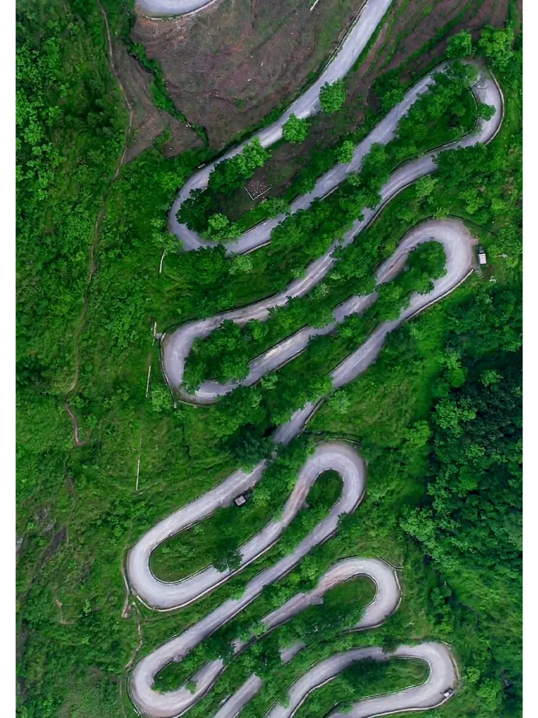 9f21874990794057b929dd3c6a04f36b-sz_3712611 9f21874990794057b929dd3c6a04f36b-sz_3712611