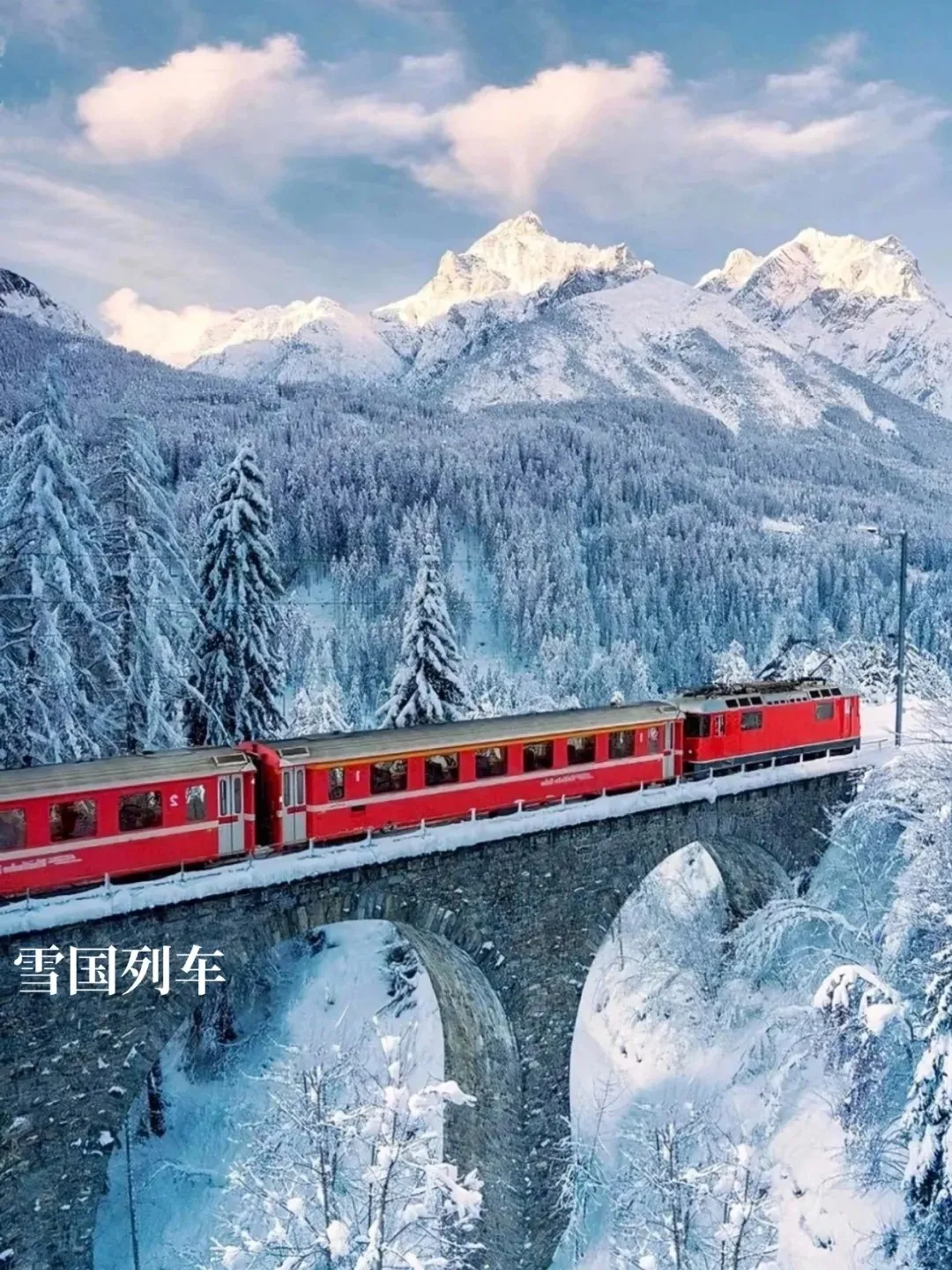 🚞冬季爆款【悠享龙江·雪国号专列】10日游 全软卧车厢‼️一路向北寻梦北极光、四星酒店+景区暖炕‼️亚布力、雪乡、漠河、哈尔滨‼️品尝东北特色美食