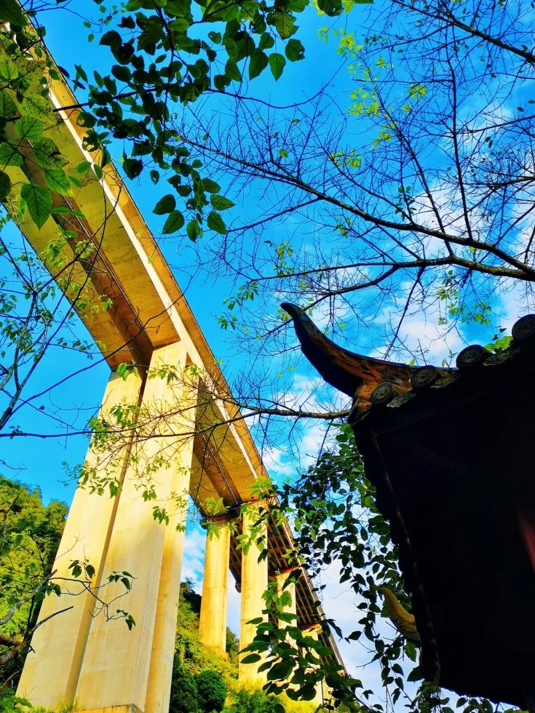 9f63fa235aa0abab4c5e4a6f99f6be13-sz_430094-1 9f63fa235aa0abab4c5e4a6f99f6be13-sz_430094-1