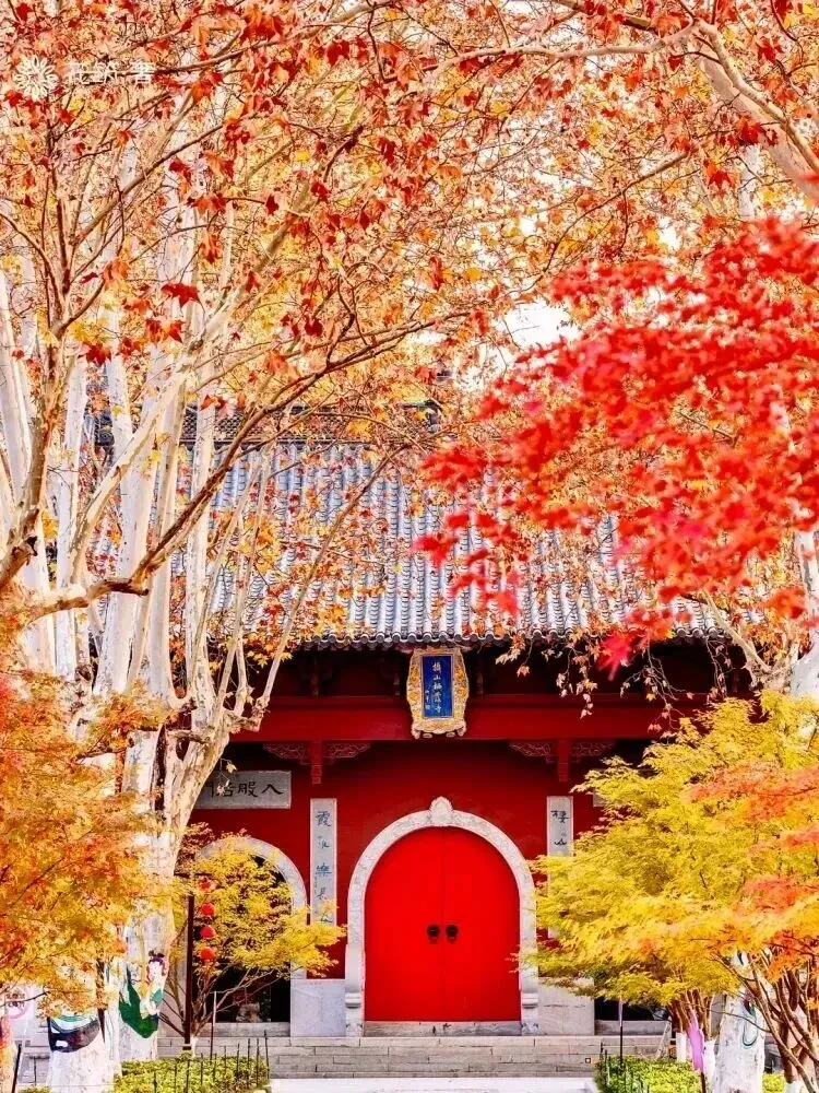 9f7f457aaff46668969601beb62ecf50-sz_281672 9f7f457aaff46668969601beb62ecf50-sz_281672