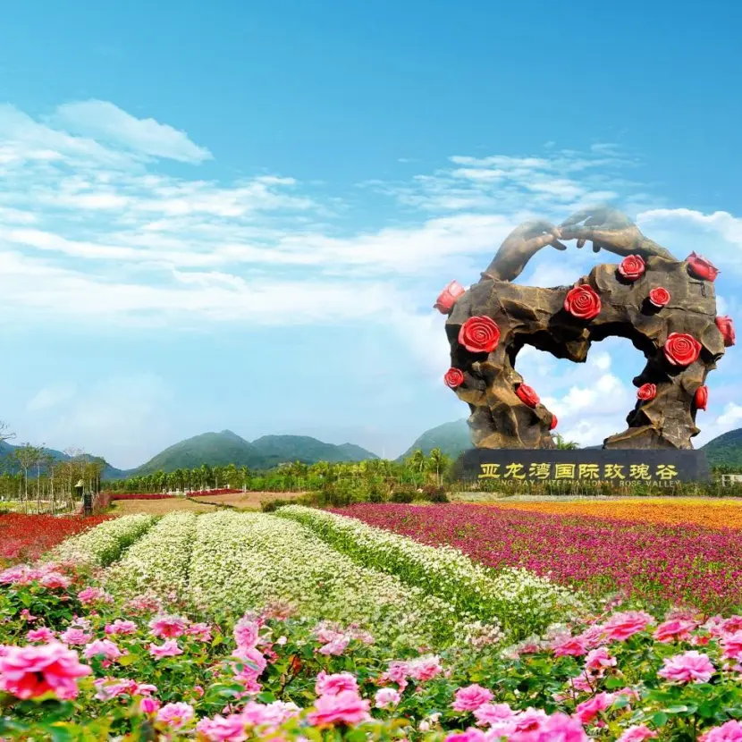 9fb286c60d86643c0870c60e73794944-sz_237850 9fb286c60d86643c0870c60e73794944-sz_237850