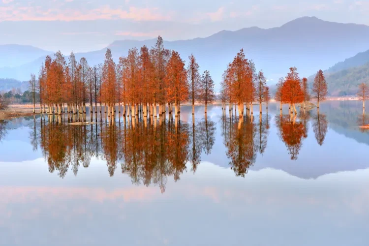 9ff857faedc7c3381e478b74333406da-sz_1170985 9ff857faedc7c3381e478b74333406da-sz_1170985