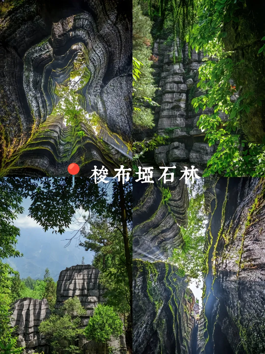 9ffbd40d3fc2cfa724189471ca02f691-sz_832900-2 9ffbd40d3fc2cfa724189471ca02f691-sz_832900-2