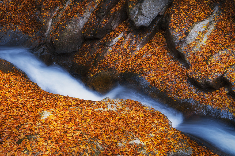 AXyINiwKnIapLaoQ AXyINiwKnIapLaoQ