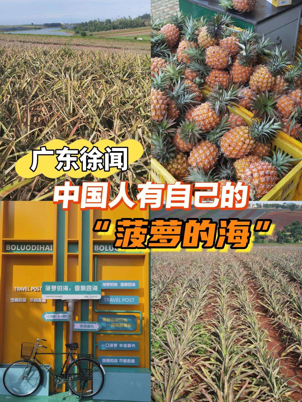 ODwsQmBJwppHgEqf ODwsQmBJwppHgEqf