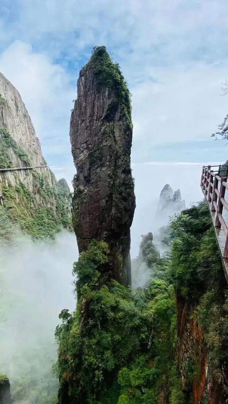 ThVhqeDzyWHYLunX