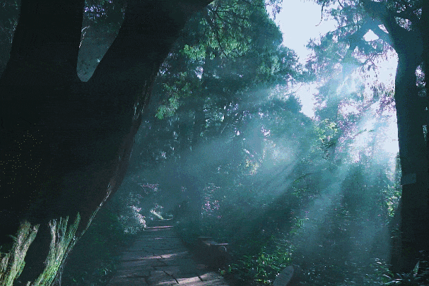 UTVgeHZuyeMxHvRy UTVgeHZuyeMxHvRy