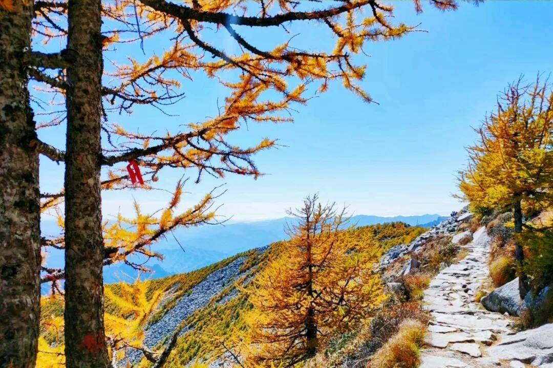 UsRrNLIbutaZzIlW UsRrNLIbutaZzIlW