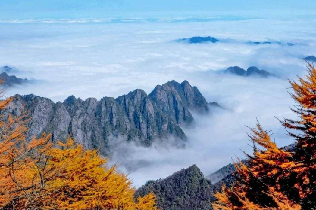 YfoxYhHzHWUquztG YfoxYhHzHWUquztG