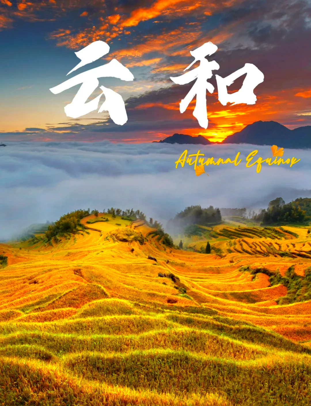 a01f0ec60b13fa8ebe39bbf63350deb7-sz_1930901