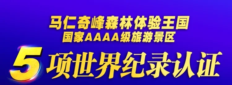 a06a3ce173cc011e7fca149b86139b8a-sz_534907 a06a3ce173cc011e7fca149b86139b8a-sz_534907