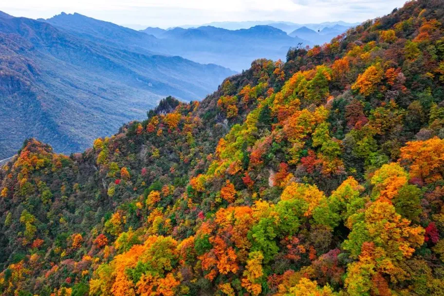 a08077e9ba9e522b12ba5c25498a2c85-sz_192295 a08077e9ba9e522b12ba5c25498a2c85-sz_192295