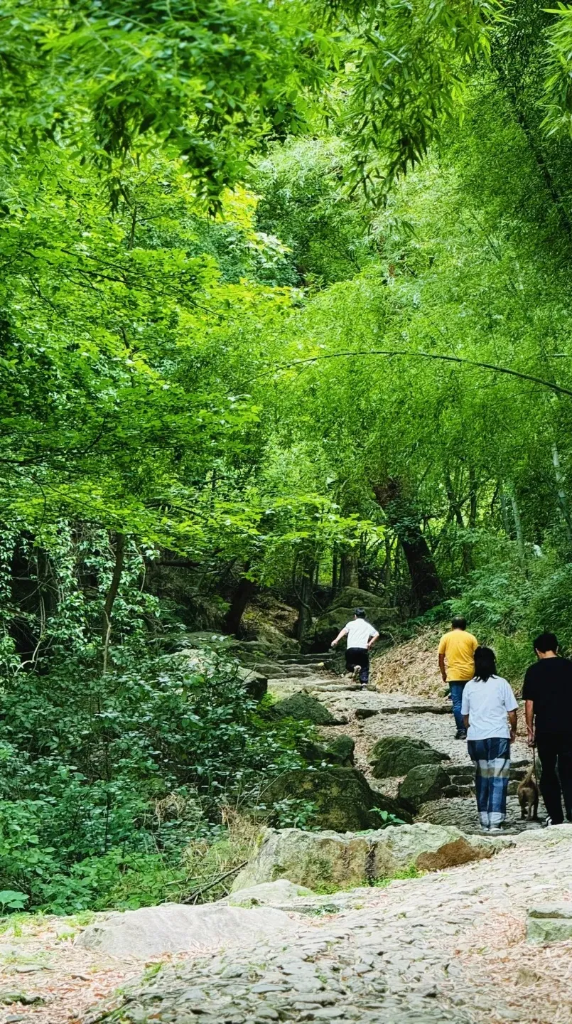 a08803e6e9941a2a77042923f598cc27-sz_824679