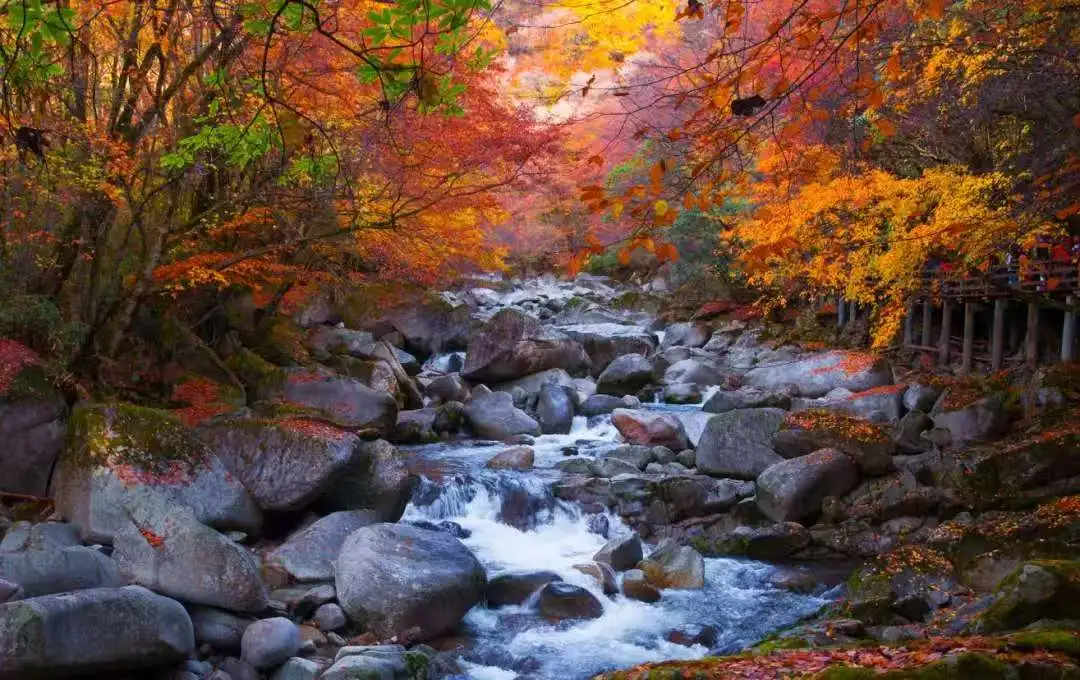 a0921516e7972b3e663ec7683a6fd8b7-sz_123934