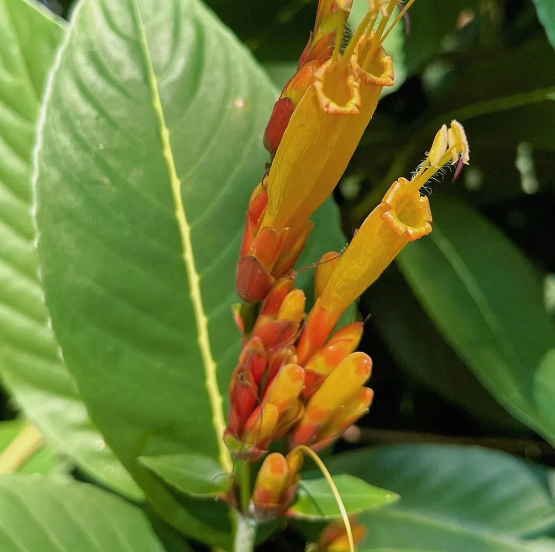 a0b35a5f6065f5ef975ccfa40aae1842-sz_272291 a0b35a5f6065f5ef975ccfa40aae1842-sz_272291