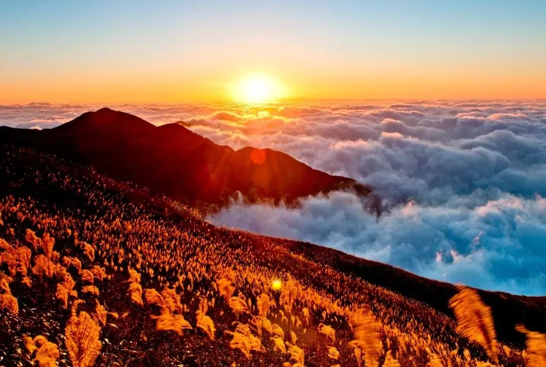 a0b4aad566384481d109db3b0edf9abd-sz_136932-1