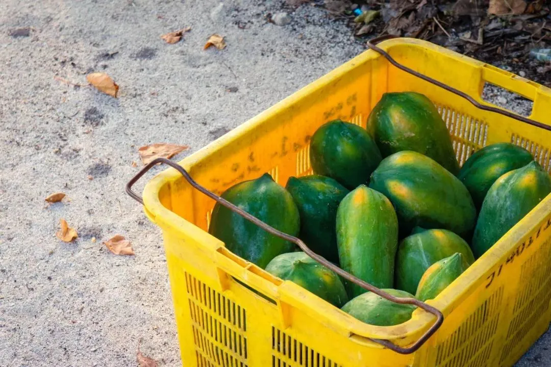 a0cb1474ae5d6433360255e45be02154-sz_160920 a0cb1474ae5d6433360255e45be02154-sz_160920