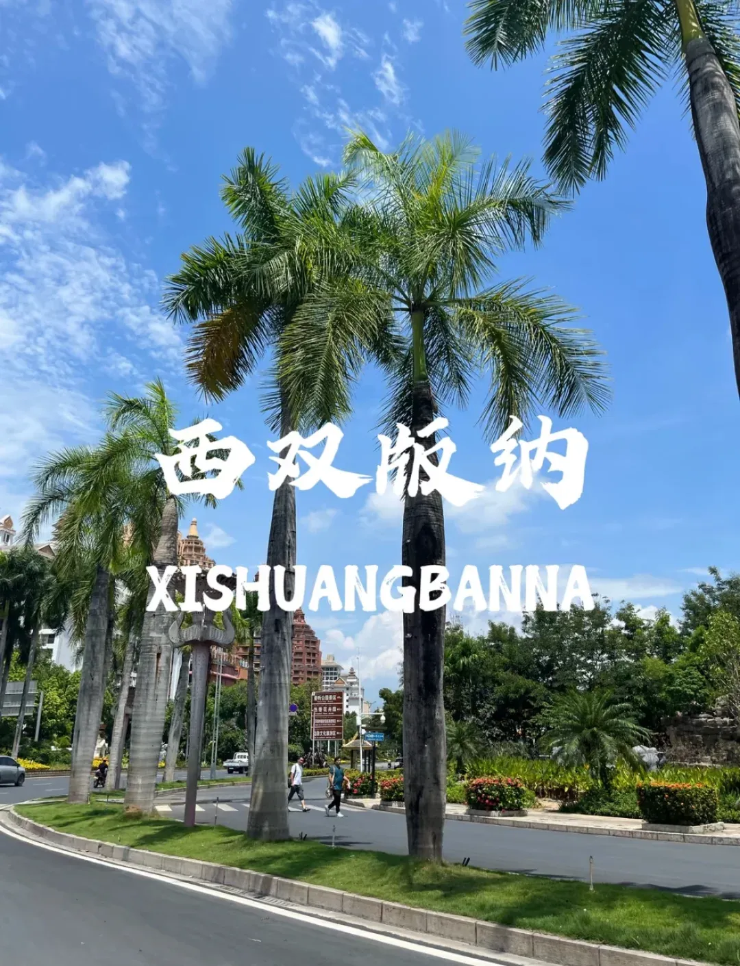 a0d8abedd0870b95632f2790ade62b84-sz_2120644-1