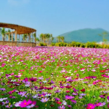 a0ea73b70c09137ec60cc02ba8a1259d-sz_568002 a0ea73b70c09137ec60cc02ba8a1259d-sz_568002