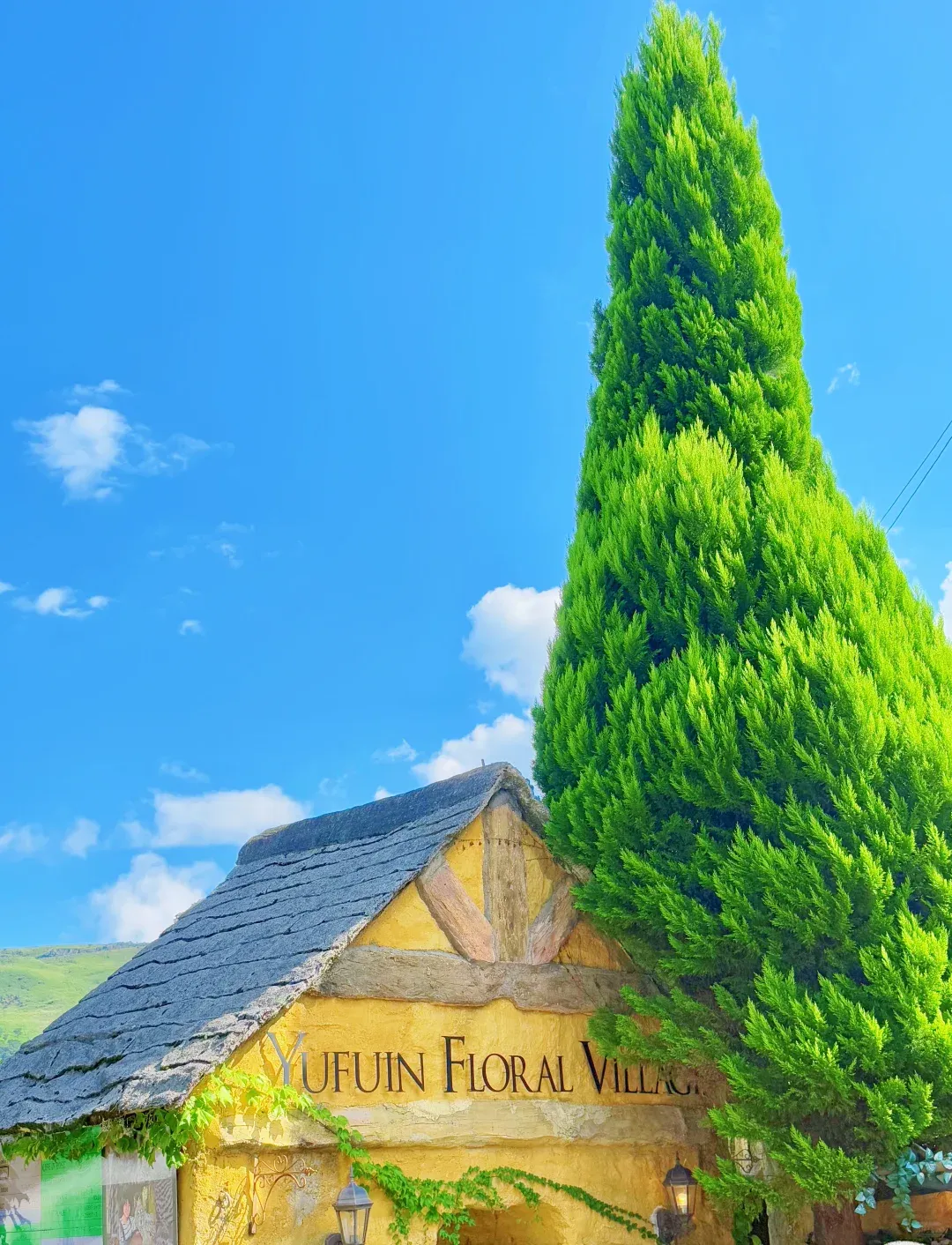 a17036d47072ff4cecdbdcfc1ddabfc0-sz_2535534 a17036d47072ff4cecdbdcfc1ddabfc0-sz_2535534