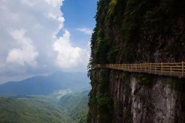 a1e233bfef3823a663ff98c6f87c864d-sz_26835