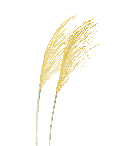 a3197e4491e6d7d15a60ade4ae7b4b61_sz-1272141 a3197e4491e6d7d15a60ade4ae7b4b61_sz-1272141