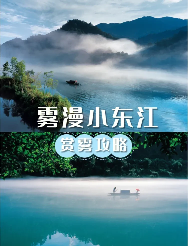 a338ff64bbce6c669a583008b6d7f27b-sz_2526269