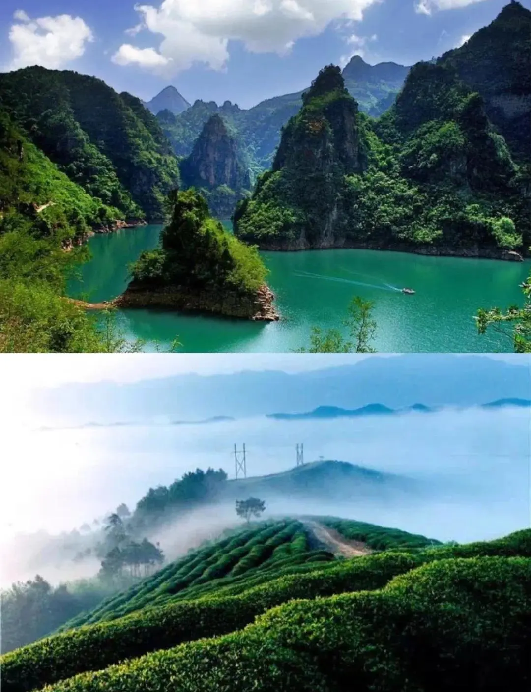 a3614ea8ae4b1efb9bdd142f92690447-sz_176711-1