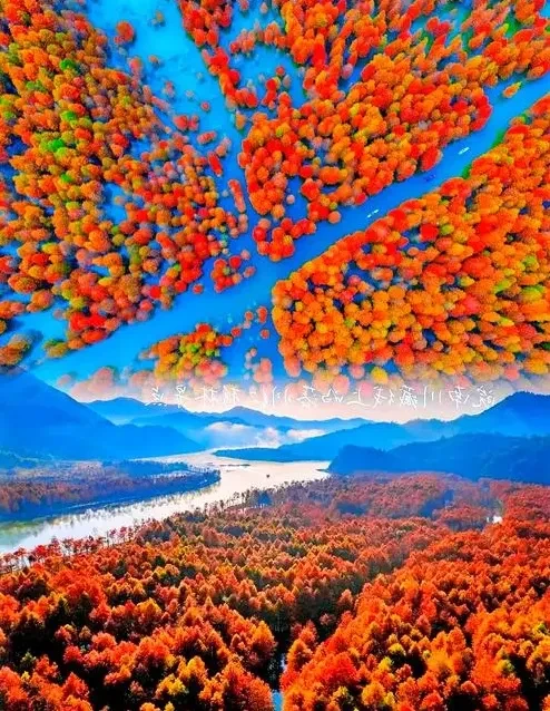 a376400d3e0f6bbf0d199a0995882449-sz_875250 a376400d3e0f6bbf0d199a0995882449-sz_875250