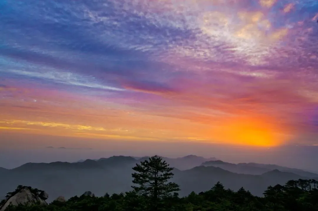 a3b2c50fd038d58565bc9d5a934ad7c2-sz_60742-2