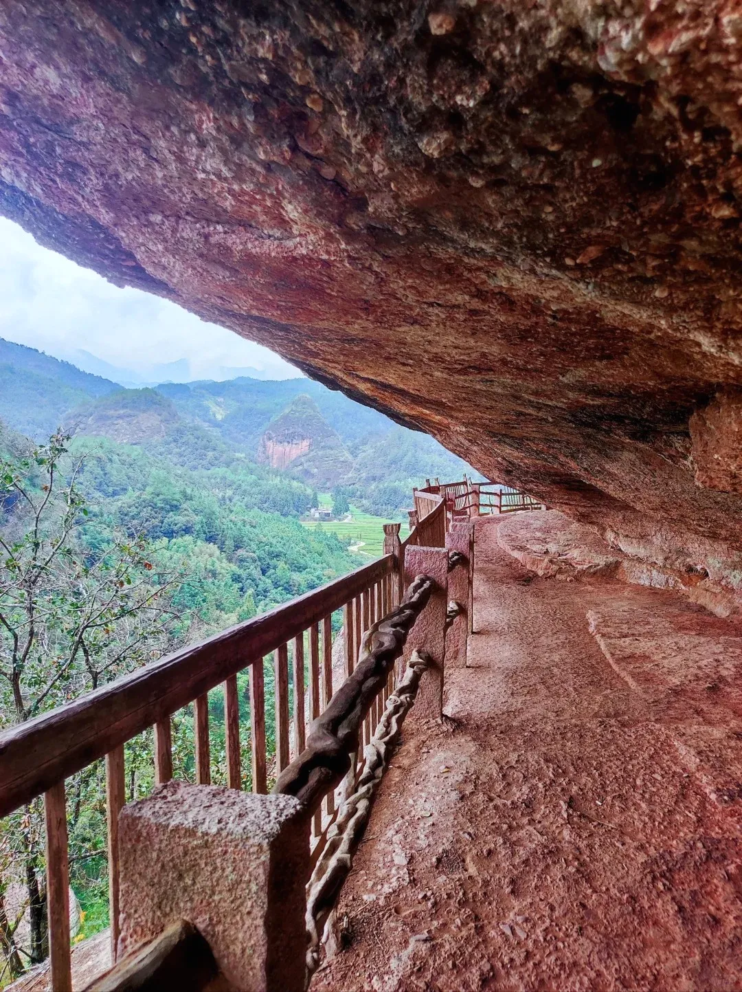 a3d30307dcfc164b9cc8096787004e3c-sz_687609