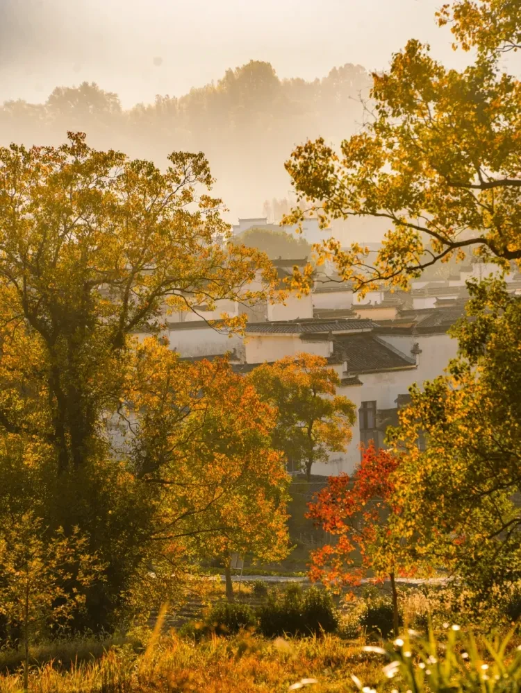 a3f7c4a6403adf0f2271ef510771d132-sz_3513788-1 a3f7c4a6403adf0f2271ef510771d132-sz_3513788-1