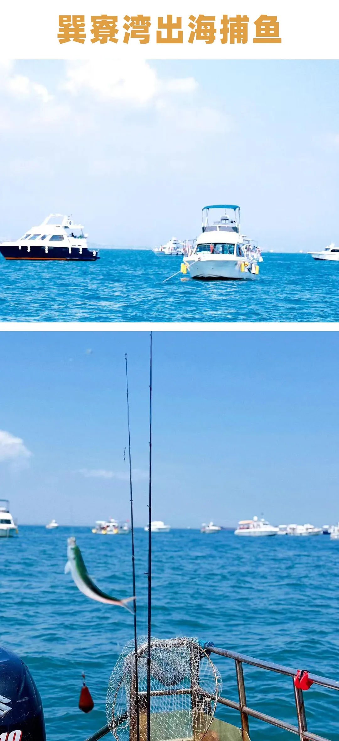 a447358b7e6ce17c65a04379929978a9-sz_1279030 a447358b7e6ce17c65a04379929978a9-sz_1279030