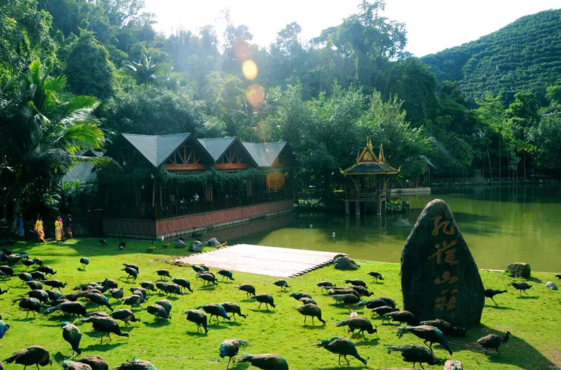 a4732bc296c834189683c69082213707-sz_1136933 a4732bc296c834189683c69082213707-sz_1136933