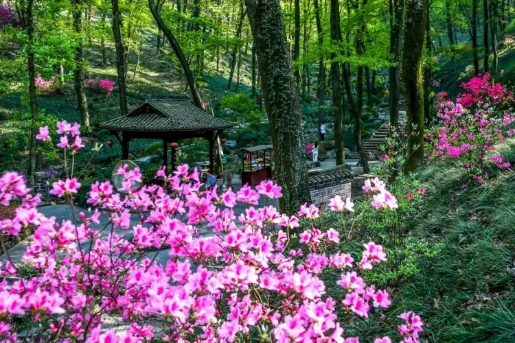 a49a1608061bbb07765b50db7076756d-sz_307062 a49a1608061bbb07765b50db7076756d-sz_307062