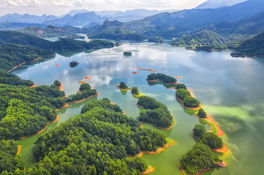 a4c53540305b879f20a744956bdb7b44-sz_177852