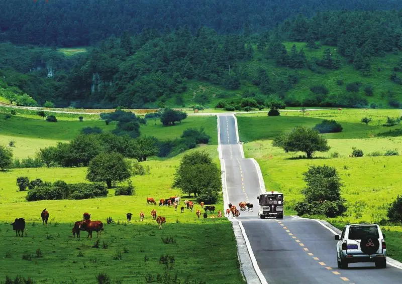 a4df5771abeb0ab8e428b0f96eb62e12-sz_96738 a4df5771abeb0ab8e428b0f96eb62e12-sz_96738