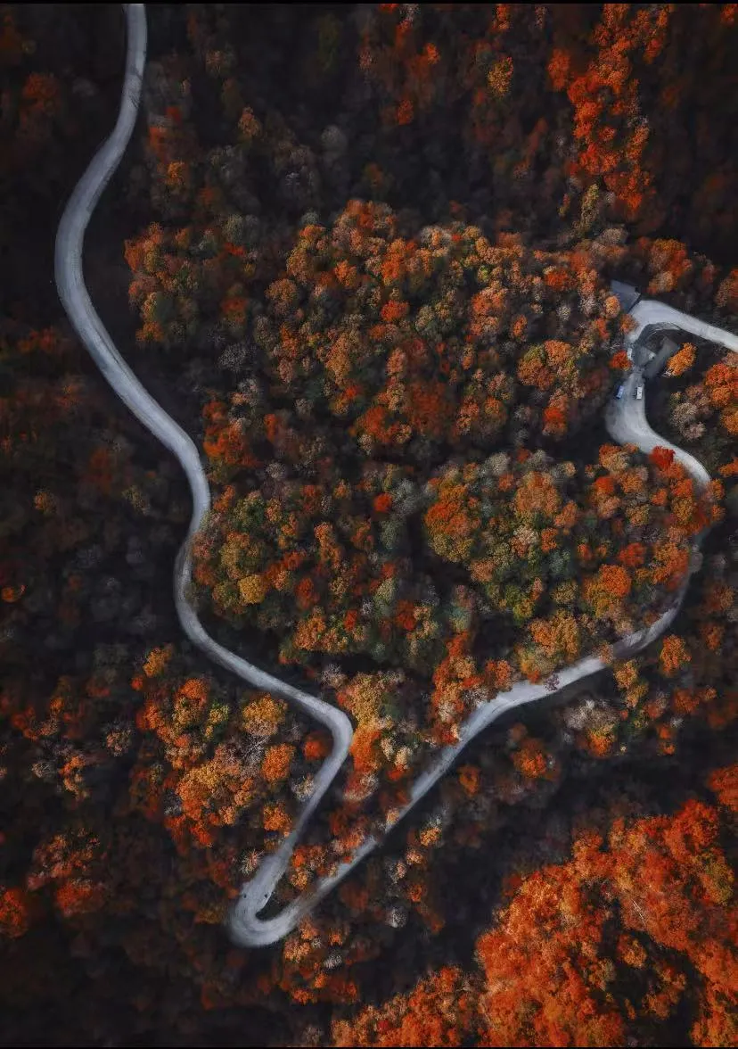 a4f01f018f847942f93758773fd4e4f7-sz_2250713-1