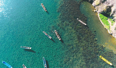 a5e88e7e7c1f74331befd891a8a0c54f-sz_1803043 a5e88e7e7c1f74331befd891a8a0c54f-sz_1803043