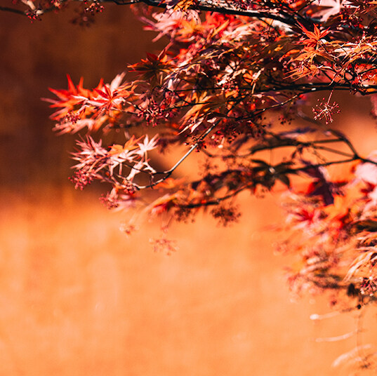 a6368ececf204483db895349fc02edf9_sz-1274334 a6368ececf204483db895349fc02edf9_sz-1274334