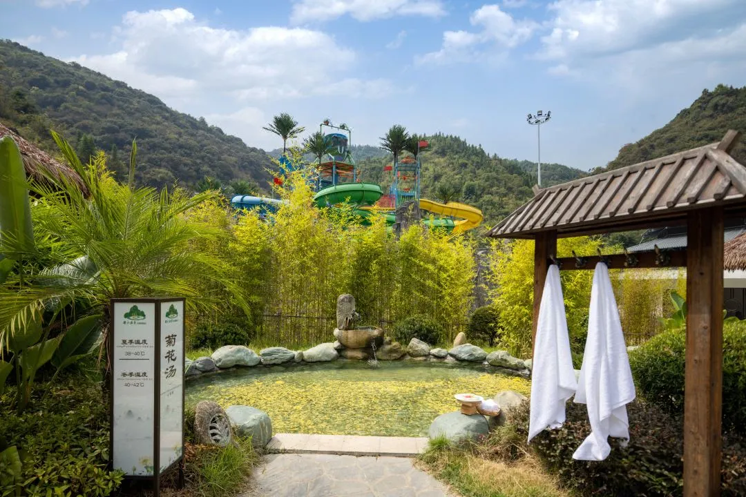 a6584f769025d48e58da73b7197d90b0-sz_183885