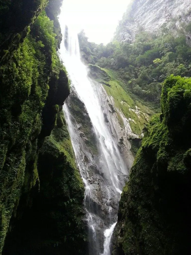 a69d896c7f8e5e316d08db28ccb5f94c-sz_1566918 a69d896c7f8e5e316d08db28ccb5f94c-sz_1566918