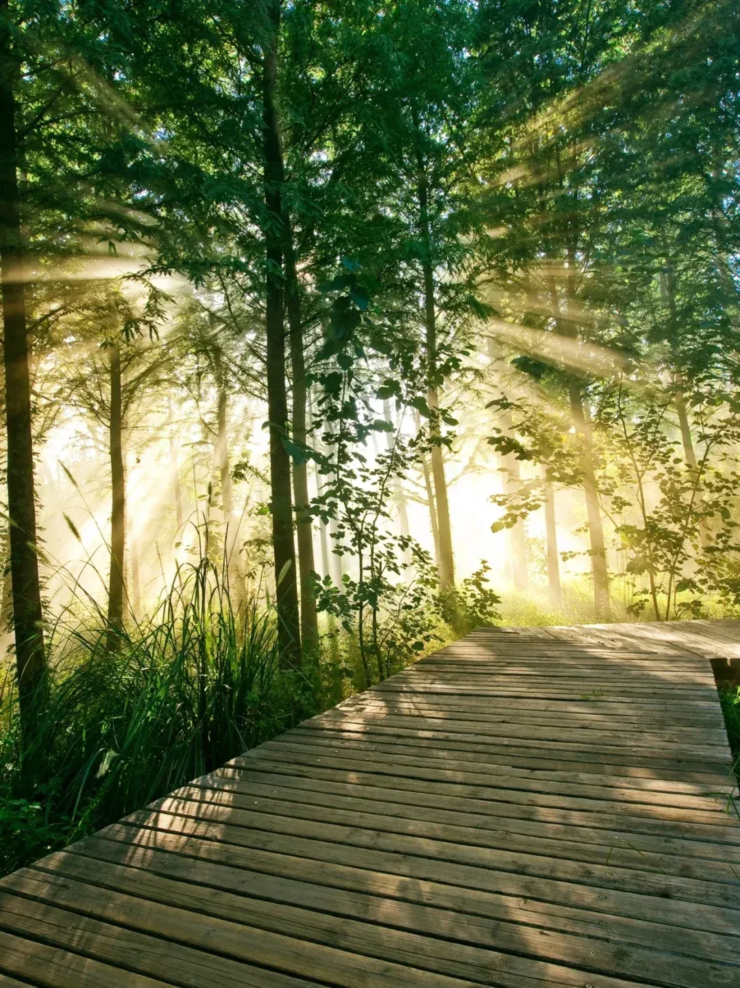 a6a3b311937de6a68afa51ad5ec1236e-sz_2868911