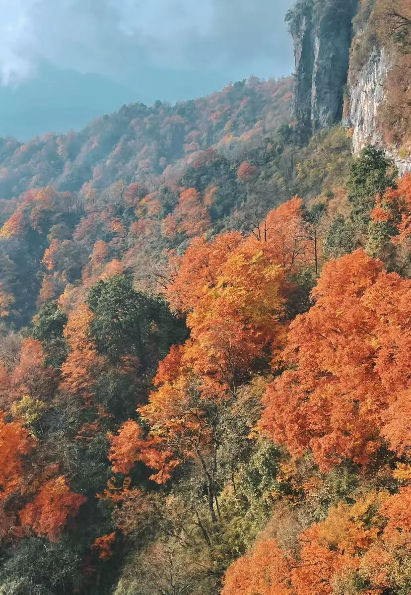 a6cd1933fd62f5bd4e60584e6c4d44d5-sz_2659550