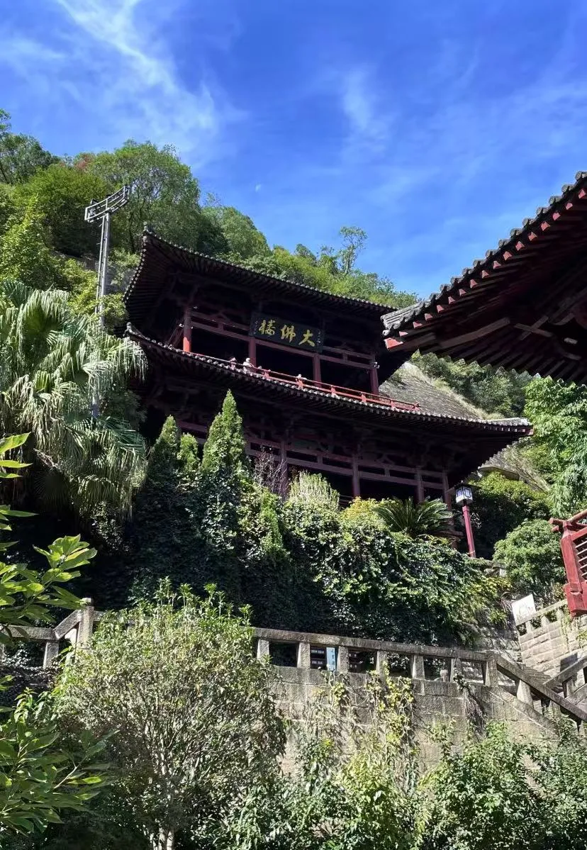 a6eb048326f6d69aa8e11ec2ecd73786-sz_2367945-1