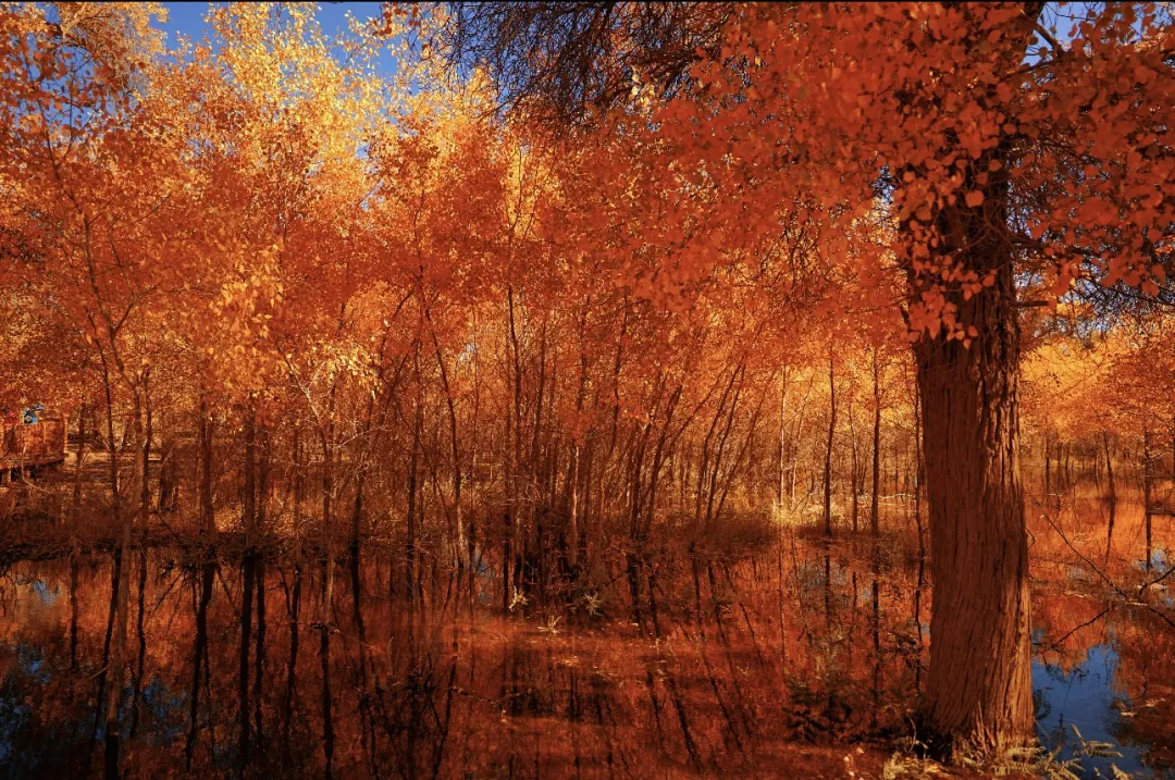 a74ba4f1ce99f83f966bf60ad497bb44-sz_642329 a74ba4f1ce99f83f966bf60ad497bb44-sz_642329