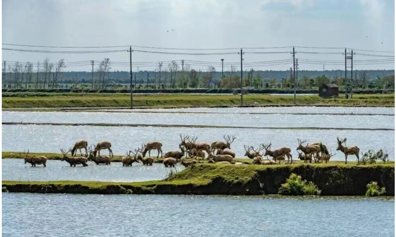 a85da3d4aadaddb84948c6da44d5e858