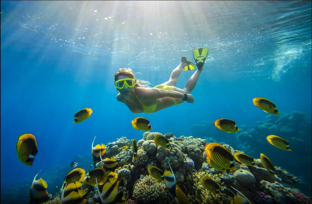 a87ebd1b2f79744807d9878be740b840-sz_1077219 a87ebd1b2f79744807d9878be740b840-sz_1077219