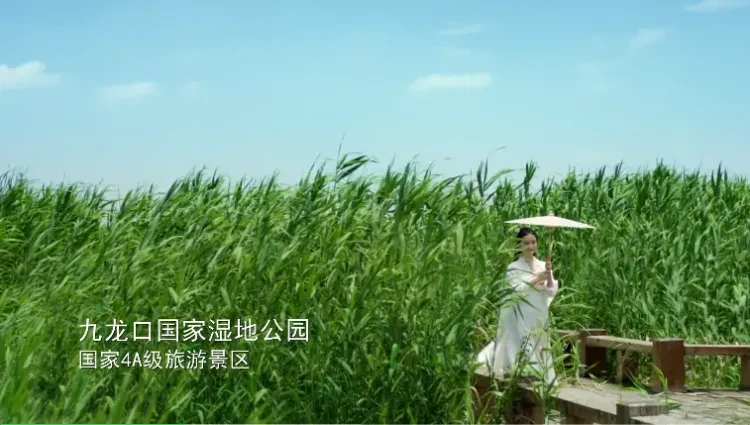 a8a7d024eebded7709381da90bf435ba-sz_510591-1