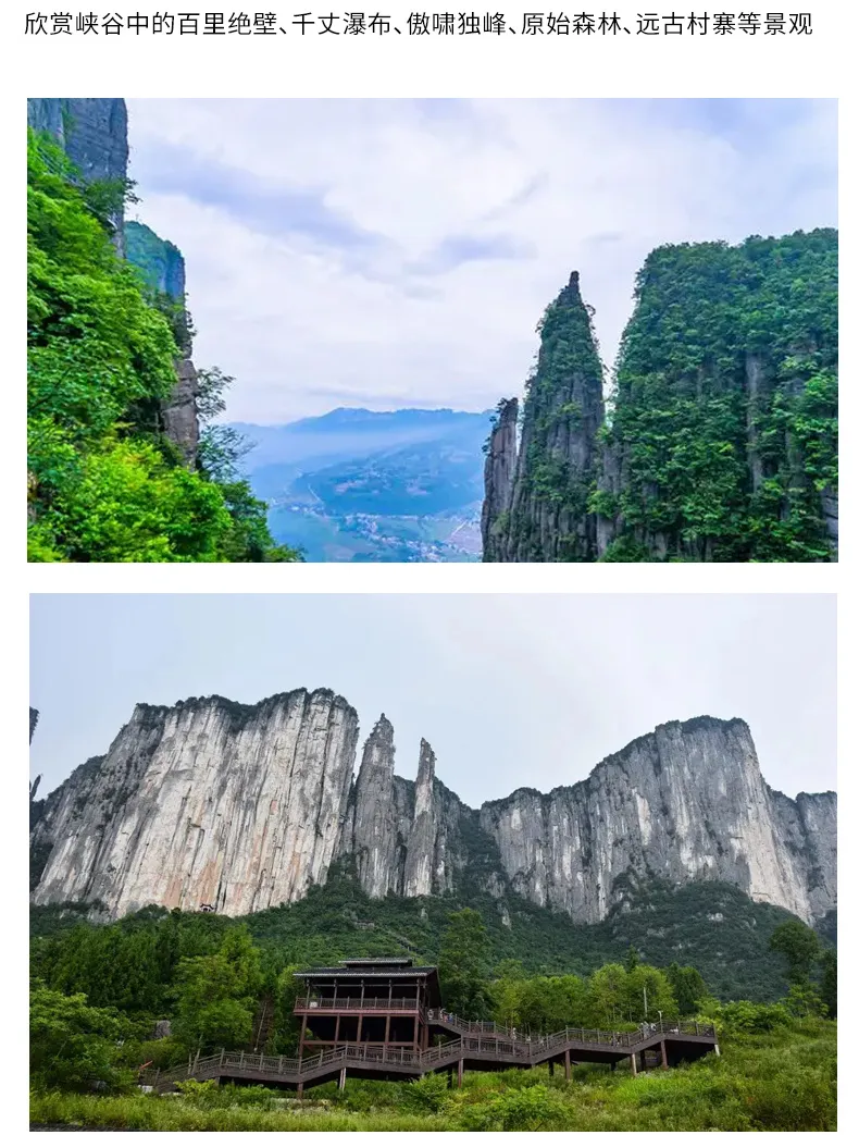 a8ca4ebfc6f26bd11ef03c01df70d8c2-sz_376661